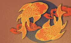 床头朝南与风水：为什么不宜如此安置床头且朝南睡觉会带来哪些影响？