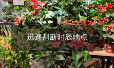 如何快速而准确地判断特定时刻的具体位置?