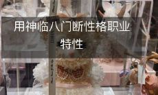 探究神临八门如何应用于断定人的性格与职业特性的方法