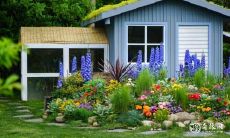 在院子西南方种植香椿,家居风水需要注意哪些讲究?