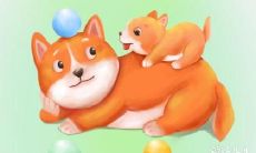 早上撞死一只狗会带来什么预兆？如何妥善处理撞死狗以化解不幸？