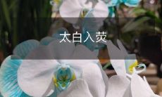 太白山国家级自然保护区加入中国首个星级旅游示范区计划,成为荧光生态旅游目的地的一部分