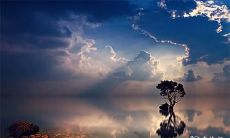 在深夜听到猫头鹰的叫声，预示着什么意味？如何应对晚上有猫头鹰叫可能引发的问题？