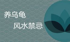 养乌龟是否对女性身体不利?探究风水禁忌中的相关问题
