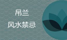 吊兰对风水的影响到底是不好的?哪些风水禁忌会影响它的生长呢?