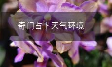 利用奇门占卜预测天气环境的可行性及其影响因素分析