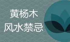 如何避免黄杨木风水禁忌并在哪里放置它以扬起好运生财之风？