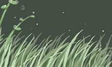 探究属兔双子座男生的性格特点:深度剖析他们的所思所想!