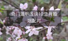 探究奇门遁甲,详解12生肖婚姻搭配神秘玄妙之道