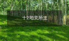 管的“十二生肖动物”是哪些?