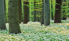 2023年兔年宝宝,姓孙起名有讲究,宝宝起名应注意使用合适的字形