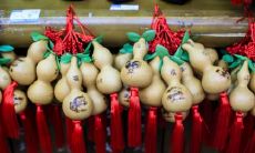 探究寿命长的手相的特征及迹象——了解长寿手相应该具有哪些特征