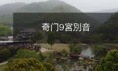 探寻奇门九宫之谜:探究別音之妙
