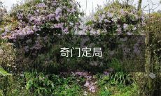 ——利用神秘学术进行占卜预测的一种古老传统艺术