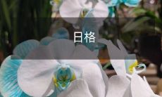 尔木斯牧场的季节性饲草利用及其对草地生态的影响研究：以日格尔木斯牧场为例