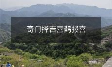 通过奇门遁甲选取吉时,幸运的喜鹊带来了好消息