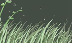 探究属兔摩羯座男生独特的性格特质和个性倾向