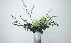 或许更贵为真正改写的标题为：在人间间隙间游荡？神仙下凡可能会投胎到穷人家，那他们的样貌又会是怎样呢？