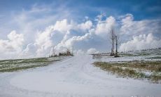 你的腹部痣有何含义?又,你是否知道“眉间痣”是闻名世界的富裕和荣耀的象征?