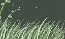 属兔射手座男生的个性特征、性格特点以及行为表现全面剖析