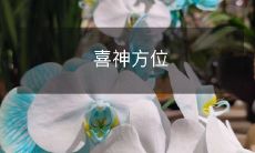 喜神方位:如何通过确定适当的风水来吸引幸福和财富?