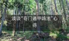 探讨“奇门遁甲鸣法”实践体验与领悟:从理论到实践,深入剖析其背后的秘密与神秘力量