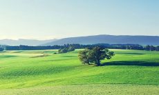 每日五行穿衣指南2023年2月1日：探究吉祥颜色，提供适合今日穿搭的建议！