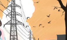 有哪些生肖在感情方面更容易受伤？