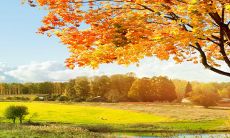 2023年1月27日每日五行穿衣指南:大吉祥之日的宜穿颜色推荐