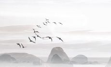 是否存在科学依据支持风水学说？迷信风水是否真的会给人带来严重的损害？