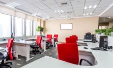 女性办公桌上的风水禁忌和开运摆设，哪些物品最适合？