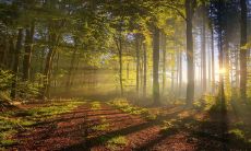 2023年2月6日每日五行穿衣建议:揭秘最适合今日气氛的颜色!