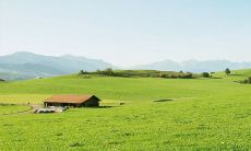 2023年2月17日的每日五行穿衣指南：基于五行理论推荐大吉穿衣颜色