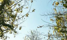 搜索自我:解锁30岁及以上男性的事业和财运发展潜力