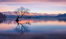 2023年2月12日-每日五行穿衣风水指南：寻找最佳衣服颜色，帮助您在今日取得成功！