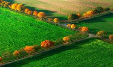 2023年2月19日每日五行穿衣推荐:探究今日的吉利宜选好颜色!