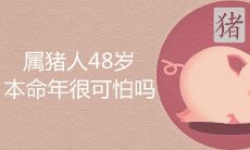 如何在属猪48岁本命年中化解厄运,让转运顺利到来?