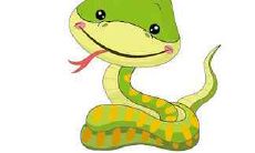 1989年生肖属蛇人在2020年的运势和未来运程是怎样的？