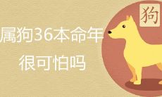 属狗36岁本命年是否真的可怕?如何化解这一年的劫难?