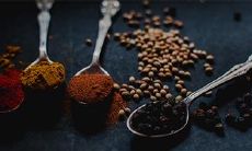 门口撒盐的作用:探究盐分子的转运特性是否与其在防滑上起到的效果有关