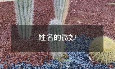 之处：揭示人格特征的姓名学研究