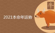 2021年本命属牛人的运势吉凶预测分析