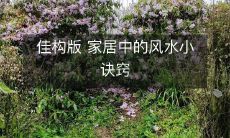 佳作精选:穿越风水之门,探索家居中的风水小诀窍