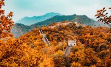 2022年十二星座爱情运势大揭秘：哪些星座神仙恋爱，感情路上如虎添翼，享受不尽的甜蜜与幸福！