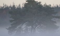 十神断命口诀——被誉为非常重要的秘传技能,若外传将会带来哪些不可预测的后果?