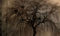 掌握六十四卦,仅需五分钟,详尽简便的口诀分享!