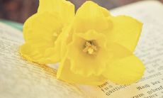 透彻解析周易六十四卦,白话深入探究卦辞内涵!