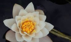 深入探究观音灵签32签解签意涵及解读方式