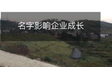 名字的选择对企业成长有着不可忽视的影响力:探究员工满意度、客户认知度和品牌形象方面的影响