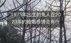预测:出生于1975年的兔人在2023年的婚姻关系中可能会面临哪些挑战和机遇?